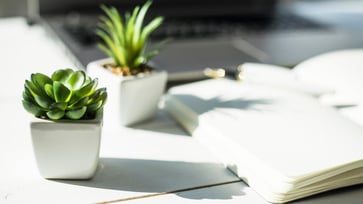 First Pacific Thumbnail