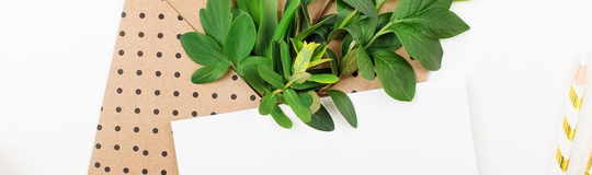 SmartBuyGlasses Optical Group